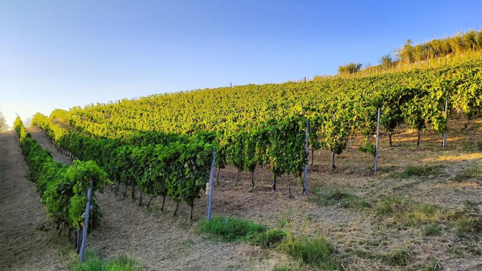 Cadgal - Tenuta La Cova Calamandrana Εξωτερικό φωτογραφία
