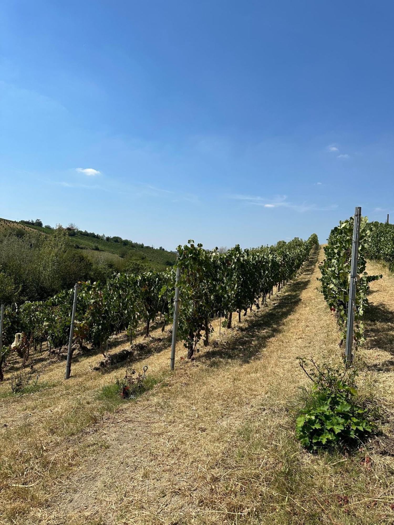 Cadgal - Tenuta La Cova Calamandrana Εξωτερικό φωτογραφία